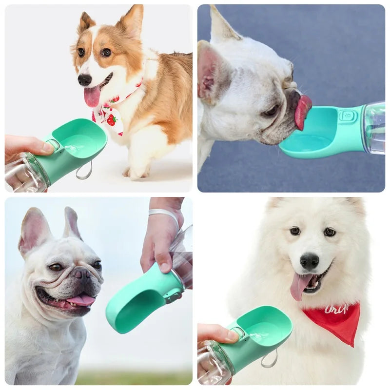 On-the-Go Pet Water Bottle: Convenient & Durable