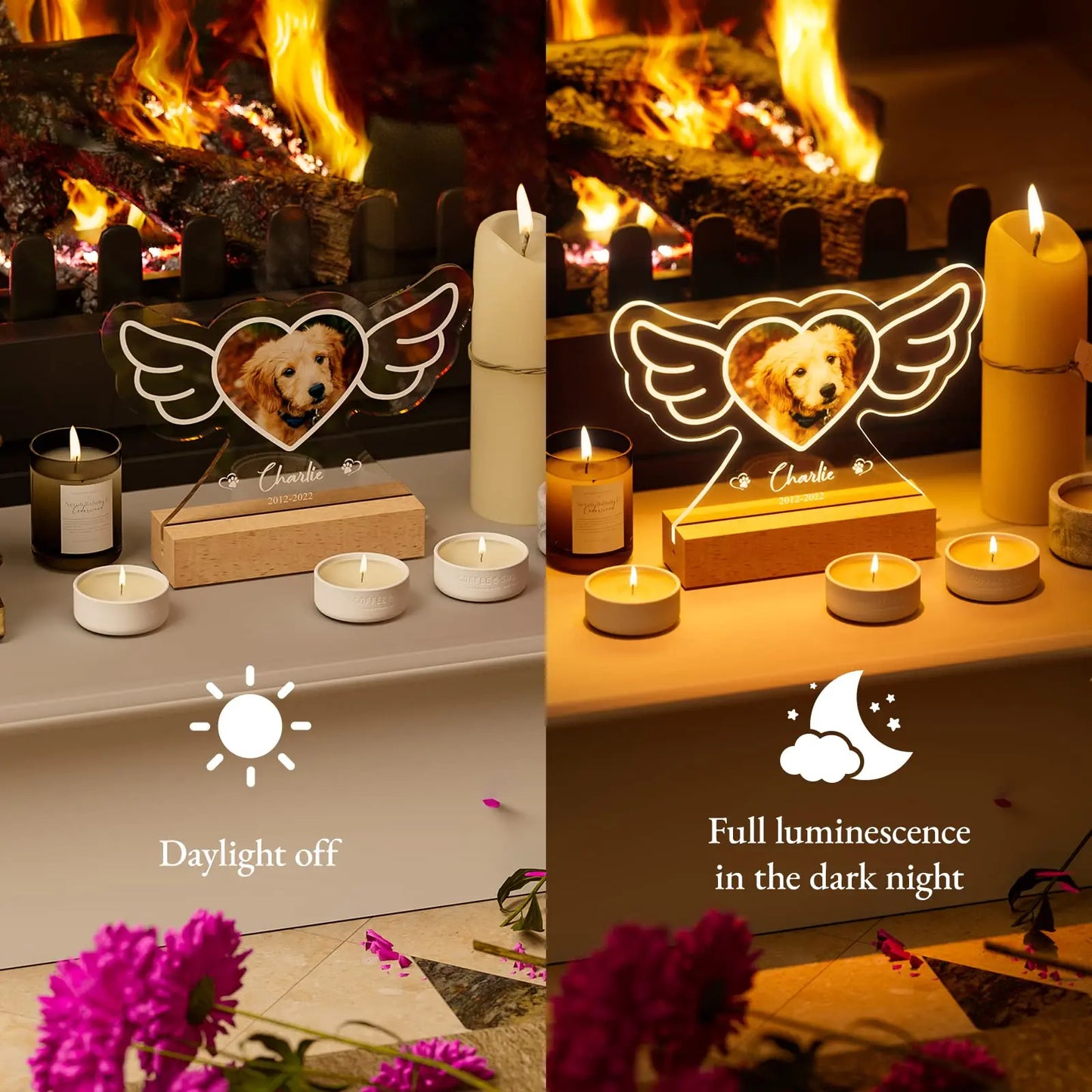 Personalized Pet Memorial Night Light & Frame