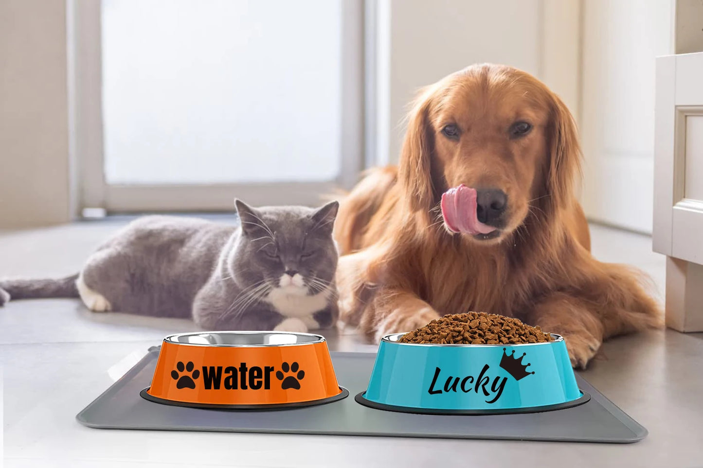 Personalized Stainless Steel Pet Bowl with Non-Slip Design and Custom Name for Cats and Dogs