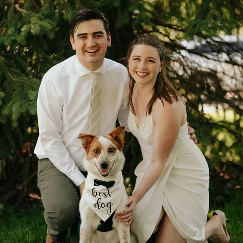 Pawfect Wedding Accessory: Dog of Honor Bandana Scarf