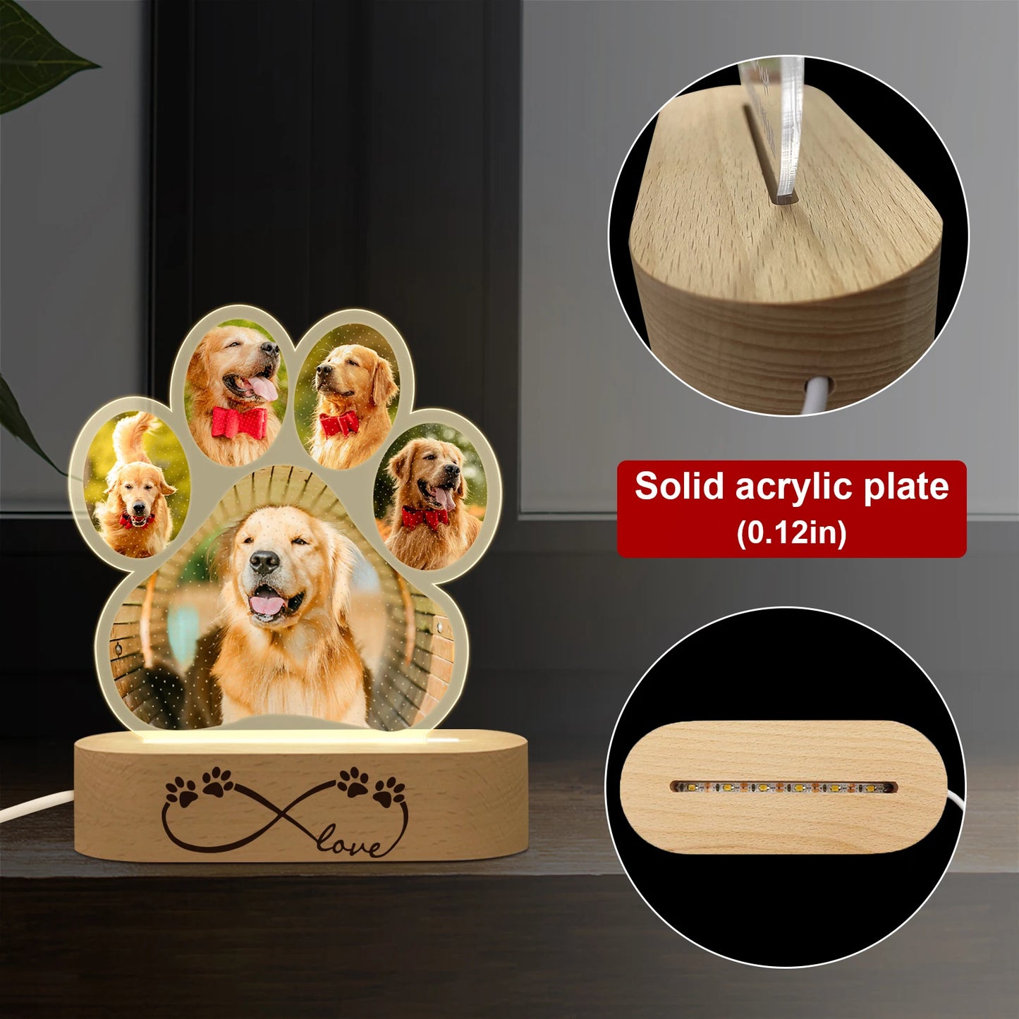 Custom 3D Acrylic Pet Night Light