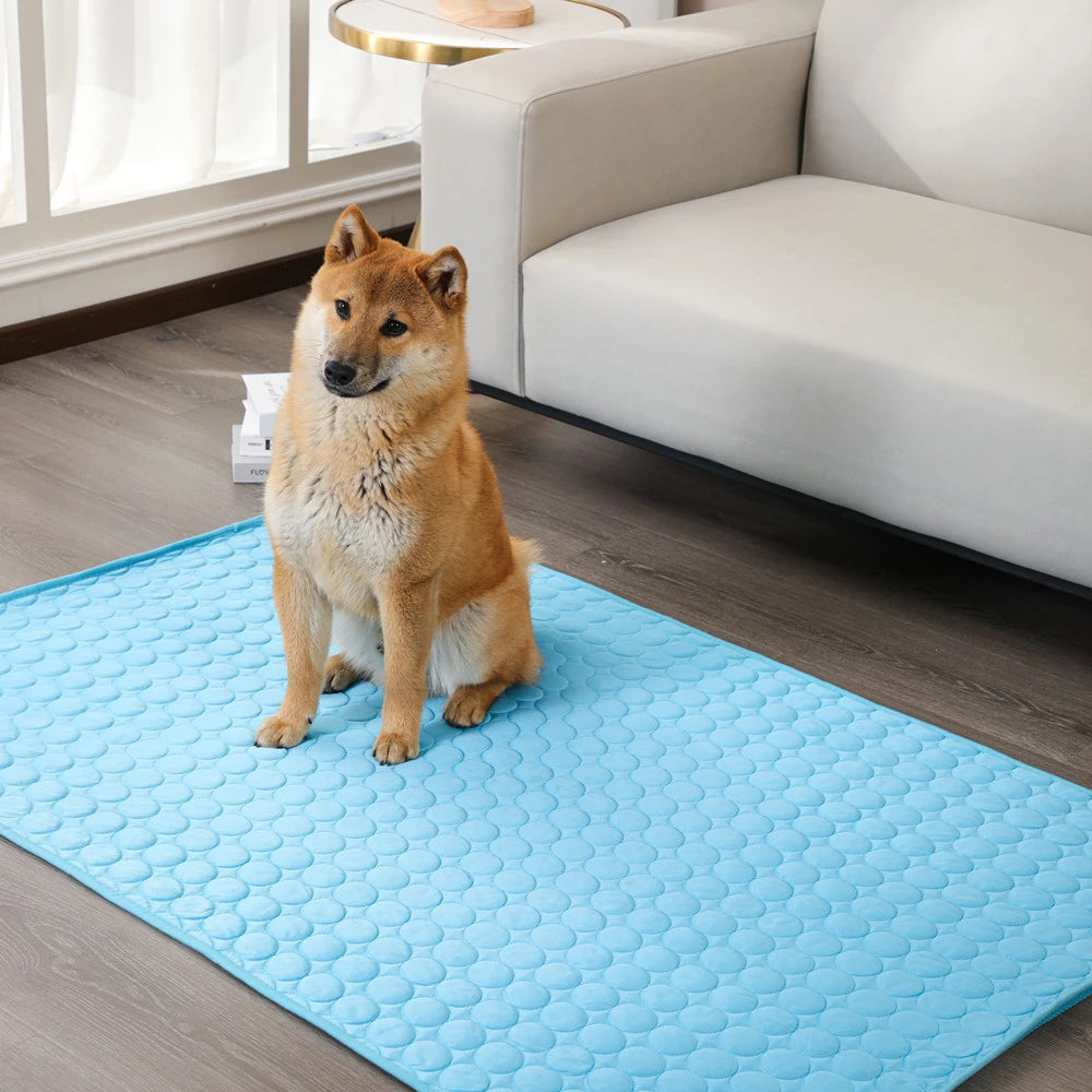 Stay Cool this Summer with our Pets Cooling Mat for Dogs and Cats