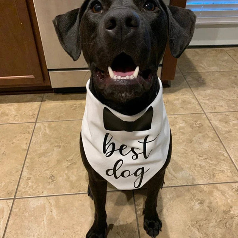 Pawfect Wedding Accessory: Dog of Honor Bandana Scarf