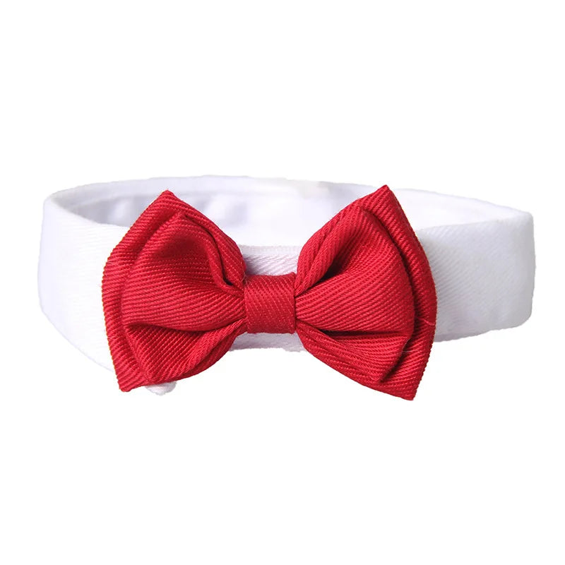 Elegant Pet Bow Tie Collar