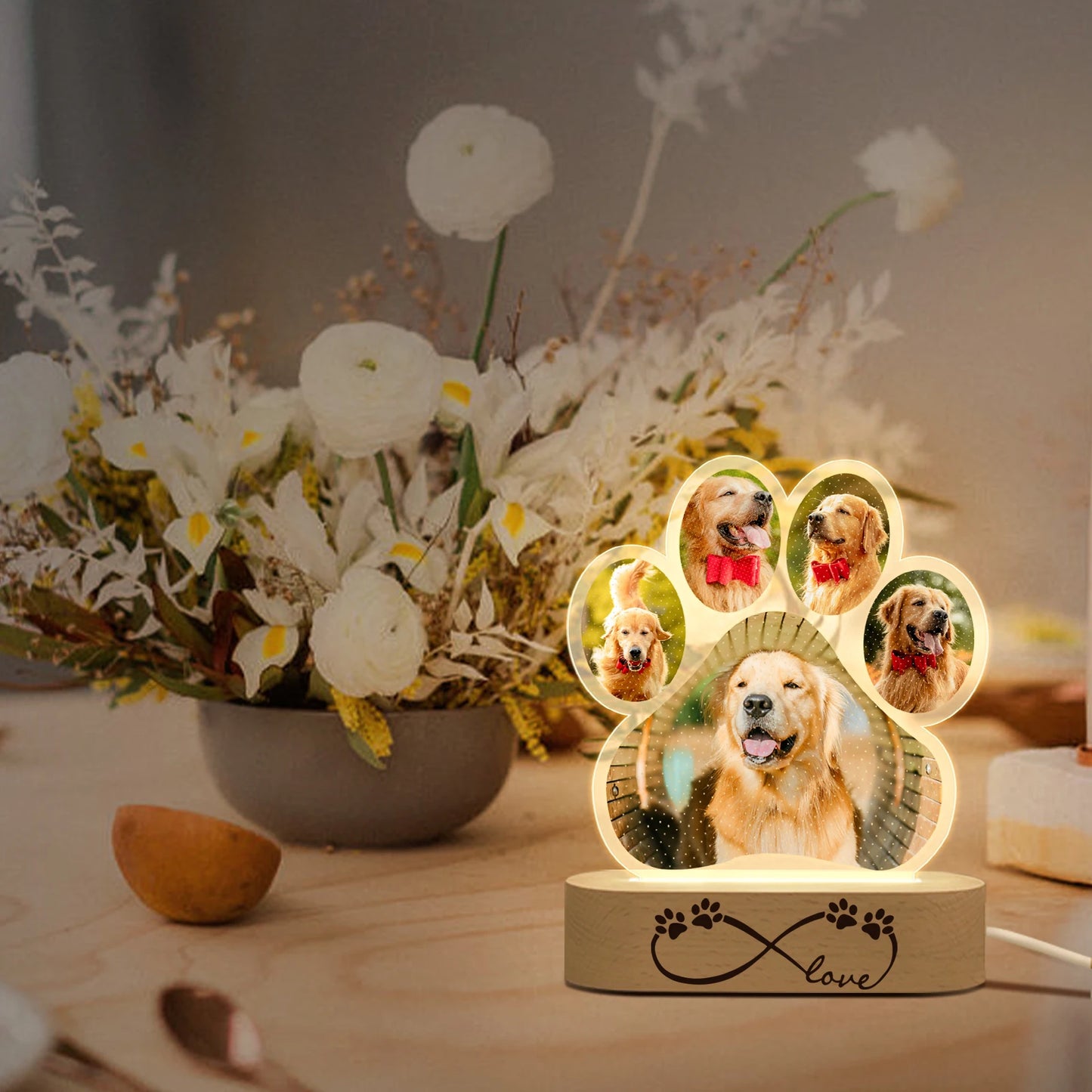 Custom 3D Acrylic Pet Night Light