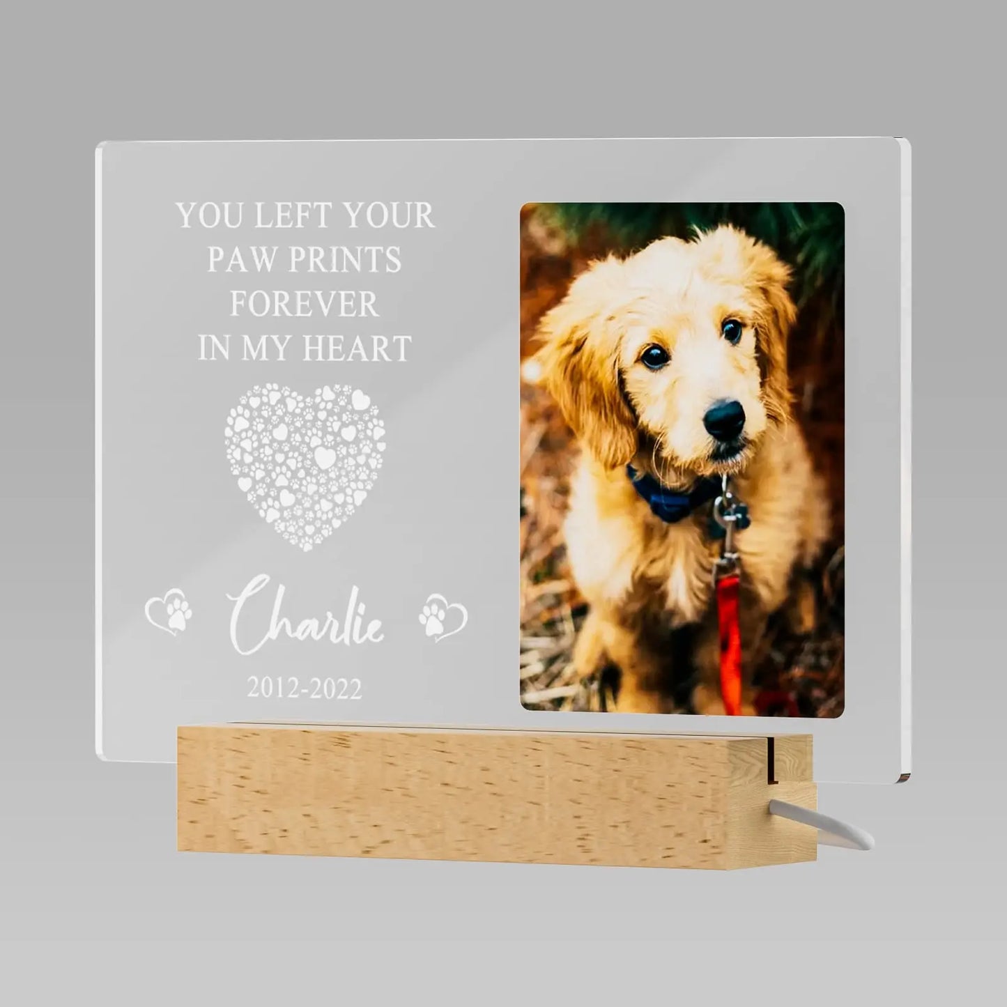 Personalized Pet Memorial Night Light & Frame