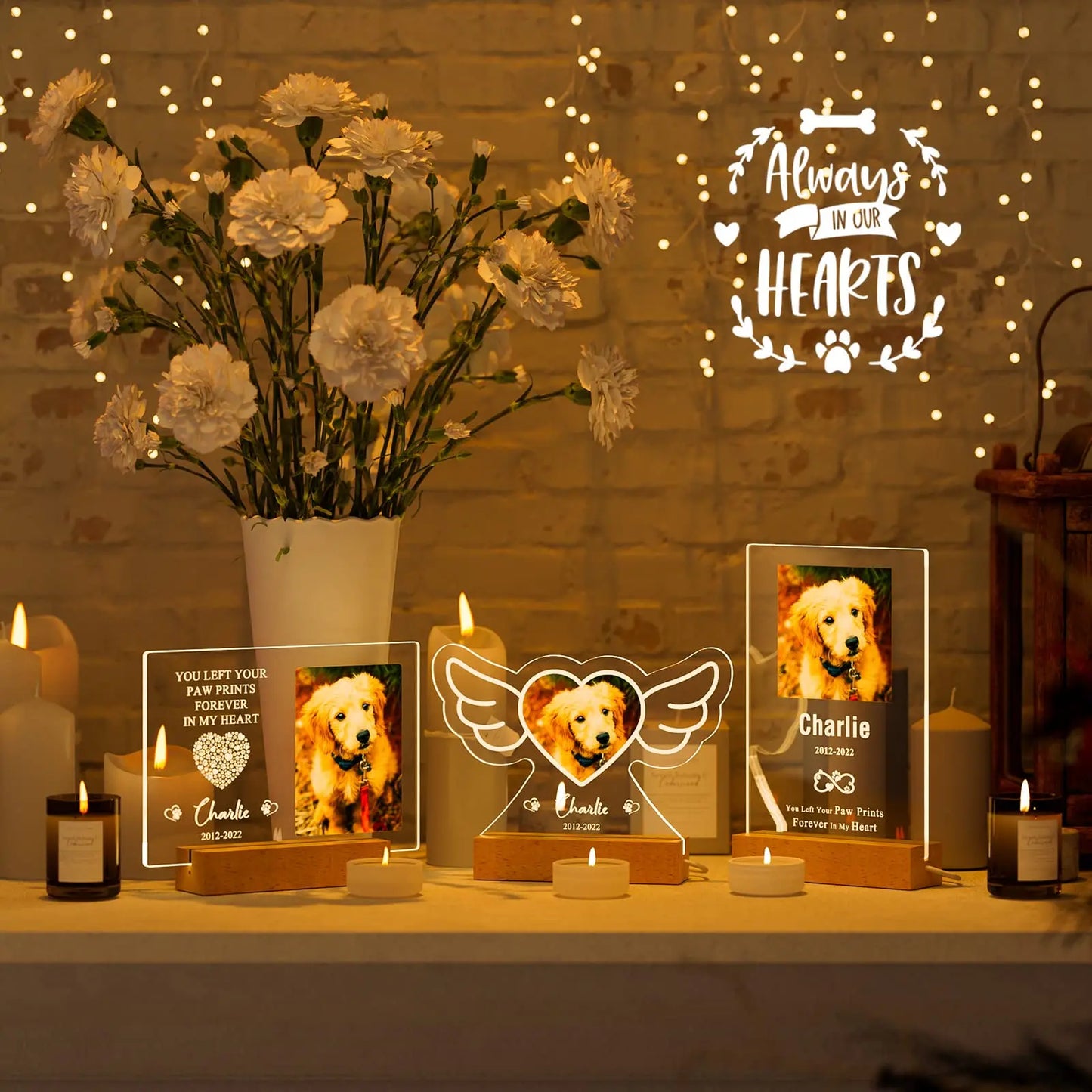 Personalized Pet Memorial Night Light & Frame