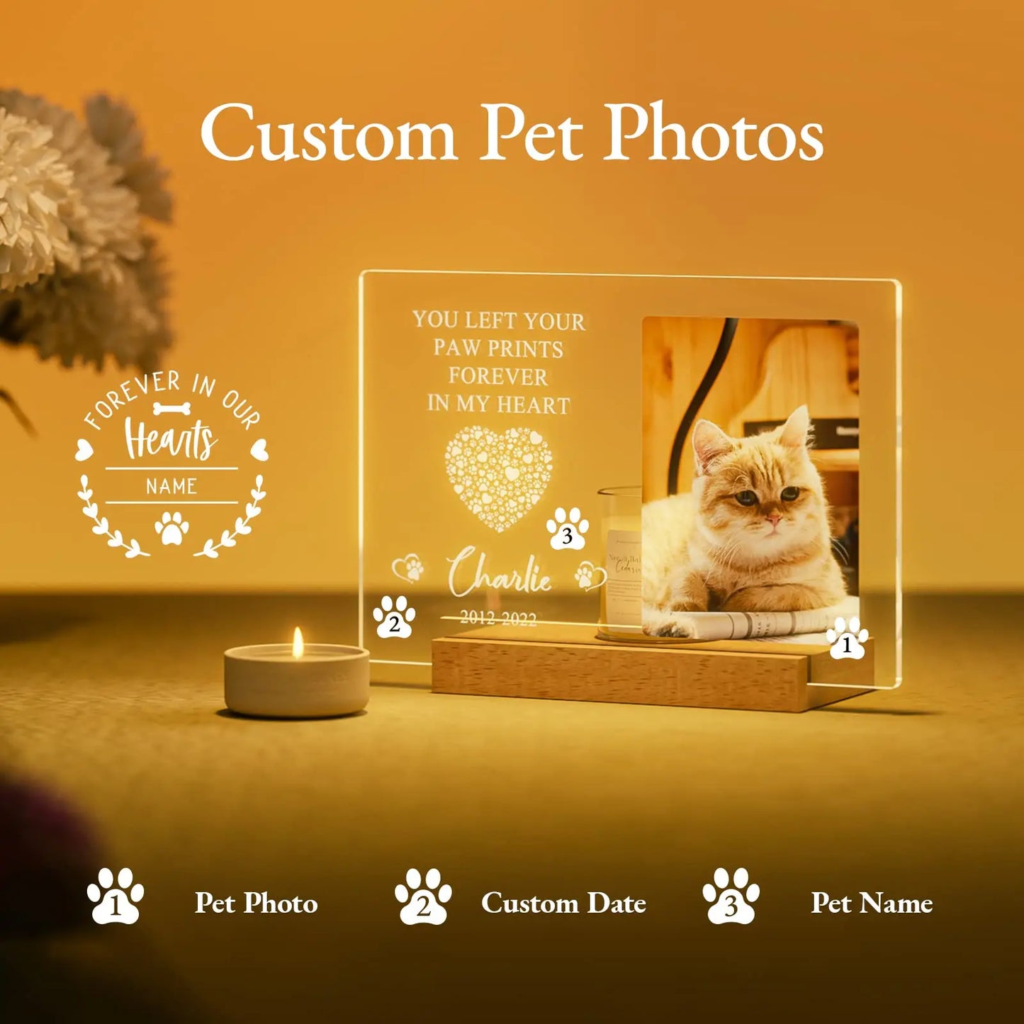 Personalized Pet Memorial Night Light & Frame