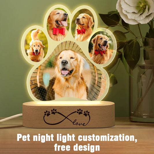 Custom 3D Acrylic Pet Night Light