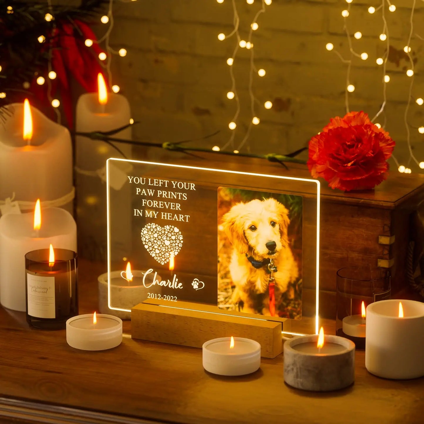 Personalized Pet Memorial Night Light & Frame