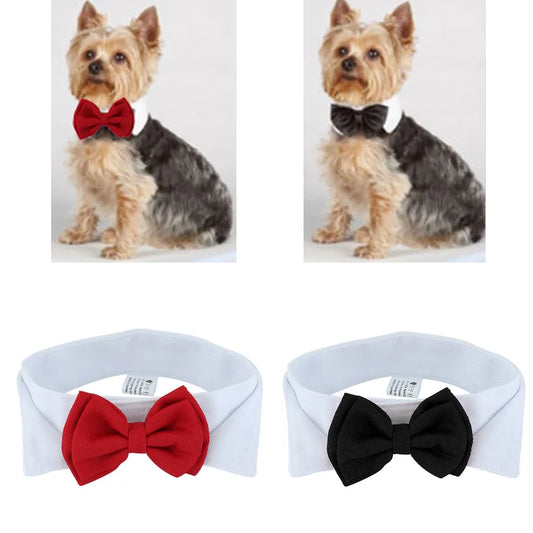 Elegant Pet Bow Tie Collar